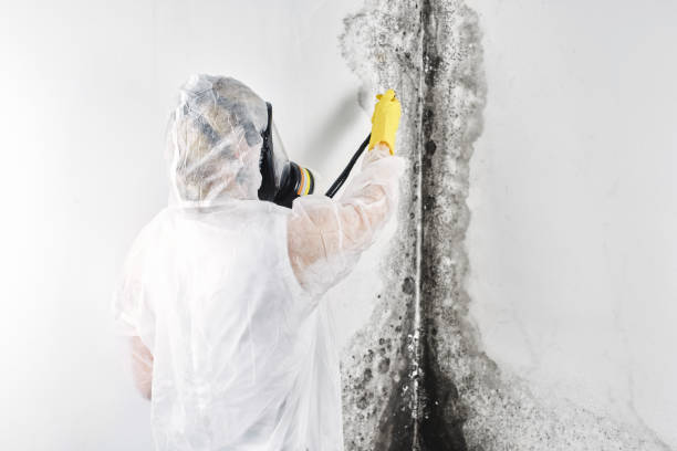 Best Ceiling water damage repair  in Andrews, IN